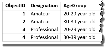 Input layer summarized using the fields Designation and Age Group